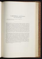 Birds of Australia, 1:246