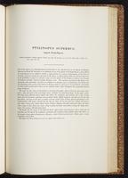 Birds of Australia, 1:234