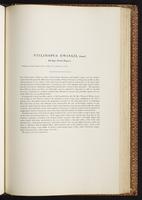 Birds of Australia, 1:230