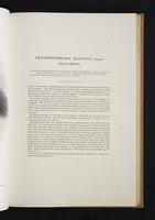 Monograph of the Paradiseidae, 1:74