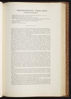 Birds of Australia, 1:182