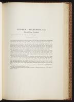 Birds of Australia, 1:174