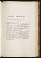 Birds of Australia, 1:142