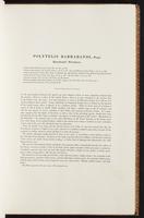 Birds of Australia, 1:66