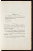 Birds of Australia, 1:62