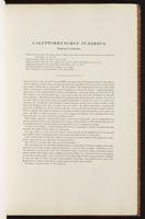 Birds of Australia, 1:50