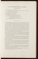 Birds of Australia, 1:46