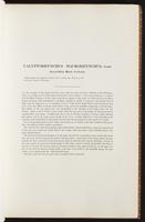 Birds of Australia, 1:38