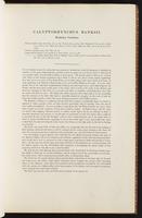 Birds of Australia, 1:34