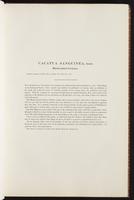 Birds of Australia, 1:18