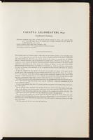 Birds of Australia, 1:14