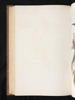 Birds of Australia, 1:411