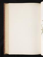 Birds of Australia, 1:395