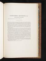 Birds of Australia, 1:390