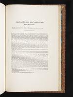 Birds of Australia, 1:382