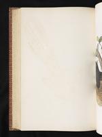 Birds of Australia, 1:379