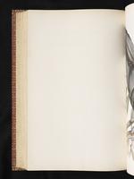 Birds of Australia, 1:371