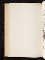 Birds of Australia, 1:351