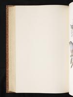 Birds of Australia, 1:347