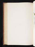 Birds of Australia, 1:343