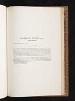 Birds of Australia, 1:342