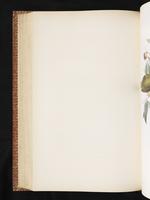 Birds of Australia, 1:331