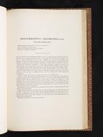 Birds of Australia, 1:302