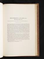 Birds of Australia, 1:294