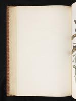 Birds of Australia, 1:287