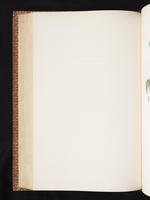 Birds of Australia, 1:275