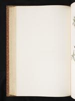 Birds of Australia, 1:271