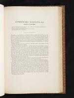 Birds of Australia, 1:238