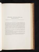 Birds of Australia, 1:182