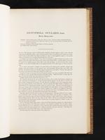 Birds of Australia, 1:134