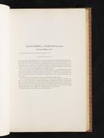 Birds of Australia, 1:130