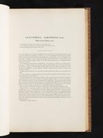 Birds of Australia, 1:126