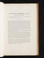 Birds of Australia, 1:98