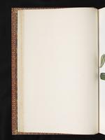 Birds of Australia, 1:55