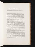 Birds of Australia, 1:38