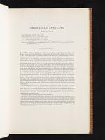 Birds of Australia, 1:34