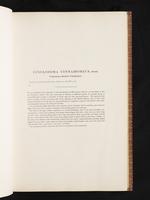 Birds of Australia, 1:30