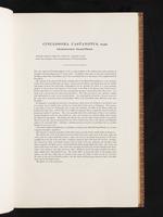 Birds of Australia, 1:26