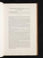 Birds of Australia, 1:22