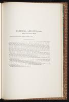 Birds of Australia, 1:374