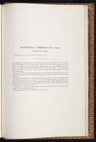 Birds of Australia, 1:370