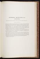 Birds of Australia, 1:342