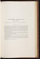 Birds of Australia, 1:250