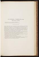 Birds of Australia, 1:242