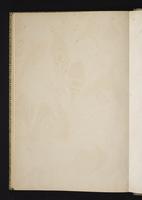 Monograph of the Odontophorinae, 1:223