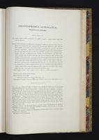 Monograph of the Odontophorinae, 1:220